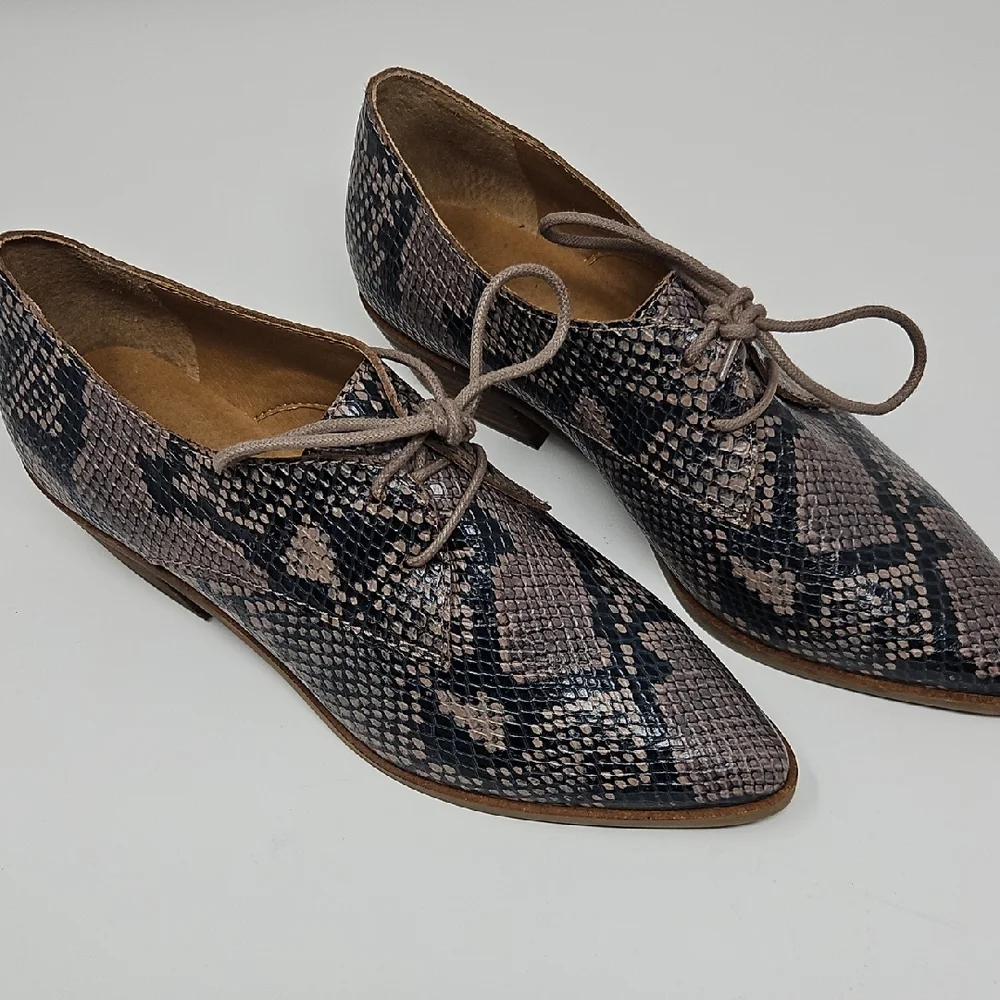 Lucky Brand Erreka Snakeskin Lace-Up Derby Oxfords Womans 7M - Picture 1 of 11